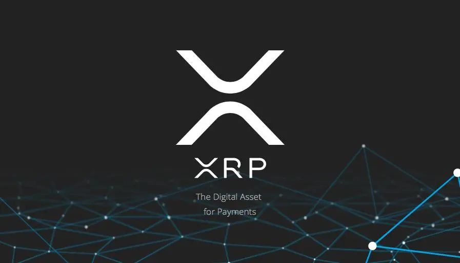 关于XRP投资骗局被揭发，已有超241人被骗！的信息