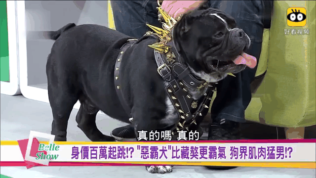 AVAX突遭安全漏洞，流失高达18.25万美元-九游体育